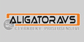 Aligator2