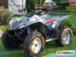 Yamaha Wolverine 450