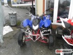 Access Motor Warrior 450