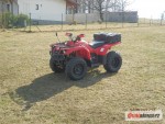 Yamaha Bruin 350
