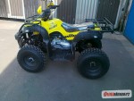 Shineray XY200ST-6