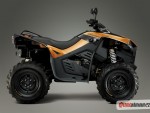 Cectek 500 EFI Kingcobra