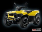 Cectek 500 EFI Quadrift