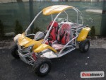 Buggy 110cc