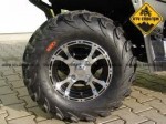 koup�m 1 - 2 p�edn� r�fky