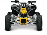 Can-Am DS 90/X