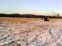 Polaris Sportsman 500 H.O.Forest 2011