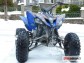 Detailn foto .3 Yamaha YFM 250R (2008)
