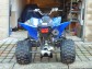 Detailn foto .5 Yamaha YFM 250R (2008)
