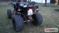 Detailn foto .2 Bashan BS250-11B (2009)