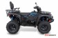 Detailn foto .1 TGB Blade 600 (2023)