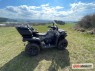 Detailn foto .3 CF Moto Gladiator X625