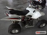 Access Motor Warrior 450