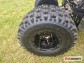 Detailn� foto �.7 Access Motor Tomahawk 400 (2021)