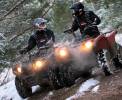 Yamaha Grizzly 450 vs. 550