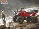 Yamaha Grizzly 300