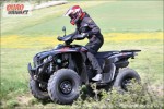 Access Max 650i Forest 4x4