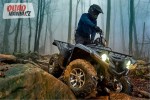 Yamaha Grizzly 4x4 EPS - 2016