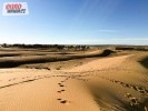 IR 2016 - Almeria - Guercif 