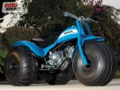 Matka rodu: Honda  ATC90