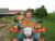 https://www.quadmania.cz/upload/images/cache/profil/20090310231827-b99c39624246a946261a8400ad2c89fe_user_jpgresize_50x50__type_jpg_.jpg