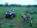 gsf-bandit