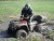 https://www.quadmania.cz/upload/images/cache/profil/20100501185052-467254162a36bddc989e73bf52bfe0c4_user_jpgresize_50x50__type_jpg_.jpg