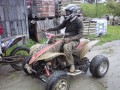 Mojko