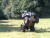 https://www.quadmania.cz/upload/images/cache/profil/20110706191451-55c9459e36593c294e9f28dd1f758e40_user_jpgresize_50x50__type_jpg_.jpg