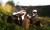 https://www.quadmania.cz/upload/images/cache/profil/20120503202611-86737_user_jpgresize_50x50__type_jpg_.jpg