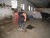 https://www.quadmania.cz/upload/images/cache/profil/20130626161942-84141_user_jpgresize_50x50__type_jpg_.jpg