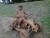 https://www.quadmania.cz/upload/images/cache/profil/20151020210557-82265_user_jpgresize_50x50__type_jpg_.jpg