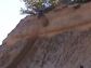 Crazy Videa ATV a Quad