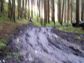 KLUBOVNA - T�BORSKO