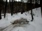 KLUBOVNA - �ESK� BUD�JOVICE