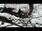 KLUBOVNA - �ESK� BUD�JOVICE