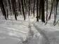 KLUBOVNA - �ESK� BUD�JOVICE
