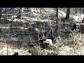 KLUBOVNA - �ESK� BUD�JOVICE