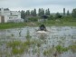 KLUBOVNA -HUSTOPEE ,HODONN,BECLAV A OKOL