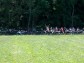 KLUBOVNA - ESK BUDJOVICE