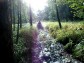 KLUBOVNA - ESK BUDJOVICE