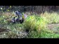 KLUBOVNA �ESKOT�EBOVSKO A OKOL�