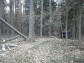 Devask klubovna