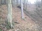 KLUBOVNA - SLUOVICE a okol