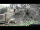 DINLI CENTHOR 800 4x4 EVOLUTION
