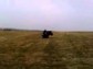 Polaris Sportsman 500 H.O. Forest