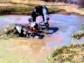 Polaris Sportsman 800 Efi