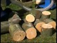 D�eva�sk� klubovna
