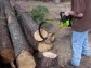 D�eva�sk� klubovna