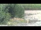 QUADPARDA 4 - (VELK SRAZ TYKOLEK)
